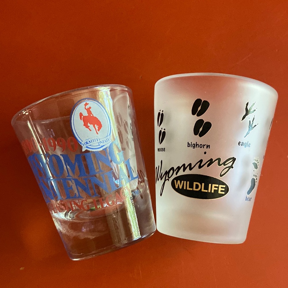 Wyoming shot glasses